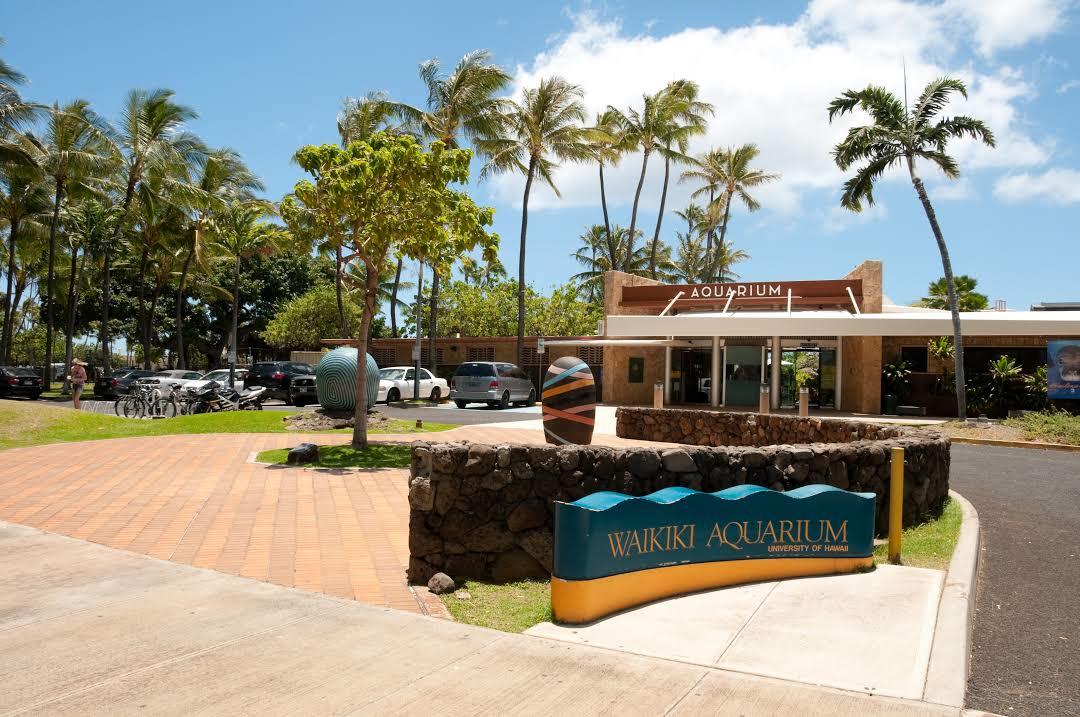 Acquario Waikiki