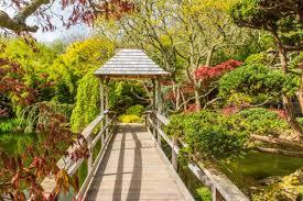 Vivaio e centro bonsai The Japanese Garden
