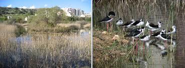 Simar Nature Reserve