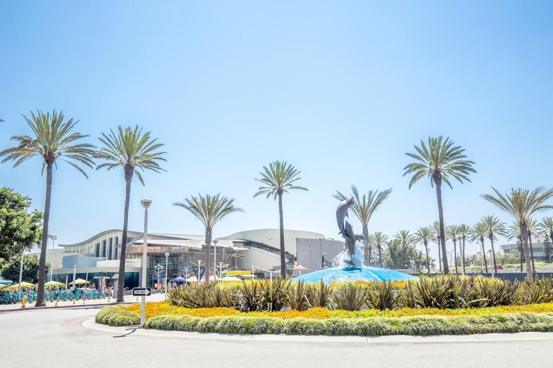 Acquario del Pacifico