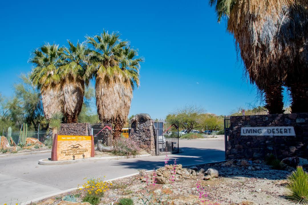 Zoo e giardini Living Desert