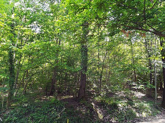 Parco Regionale dei Colli Euganei