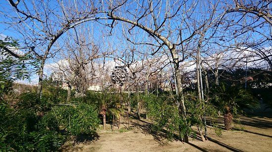 Parque del Centro de Poblenou
