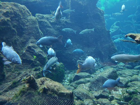 Centro visite del Parco Nazionale dello Stelvio aquaprad