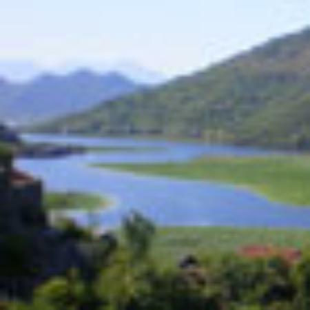 La Castellana SNC di Tinello