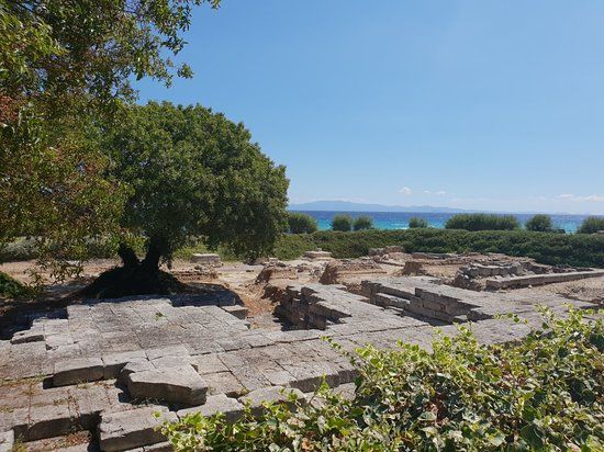 Temple of Ammon Zeus