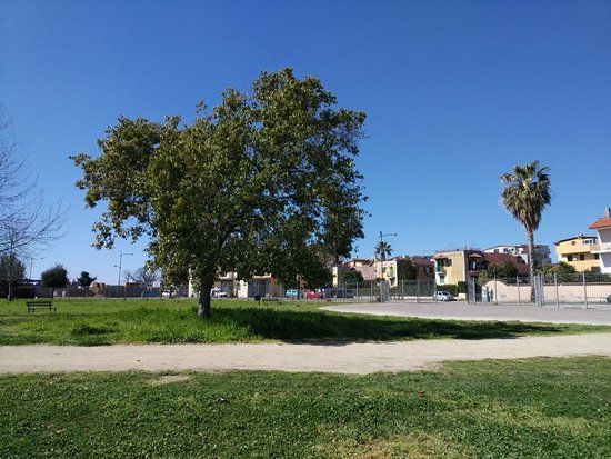 Parco Urbano Camaldoli Sud