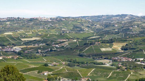 Paesaggi delle Langhe UNESCO