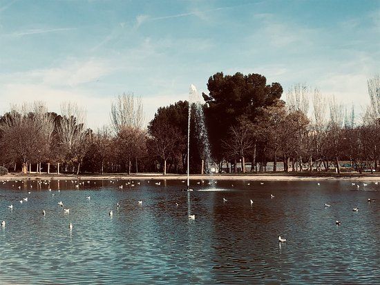 Parque de Enrique Tierno Galvan