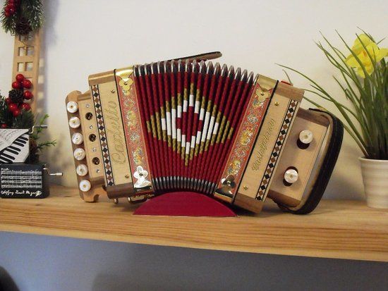 La Fisarmonica da Guinness