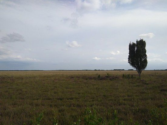 National park Dwingelderveld