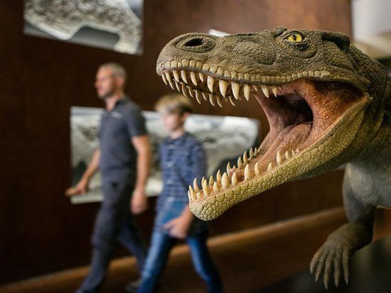 Museo dei fossili del Monte San Giorgio