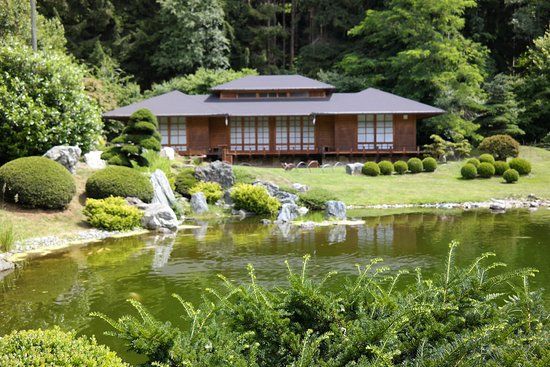 Bonsai - Museum Japan Bonsai