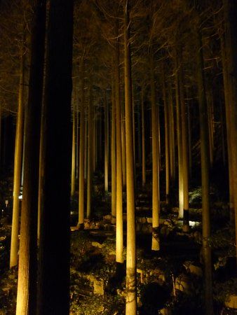 The Hundred Year Sulfur Valley