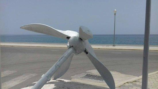 Shark Fish Restaurant