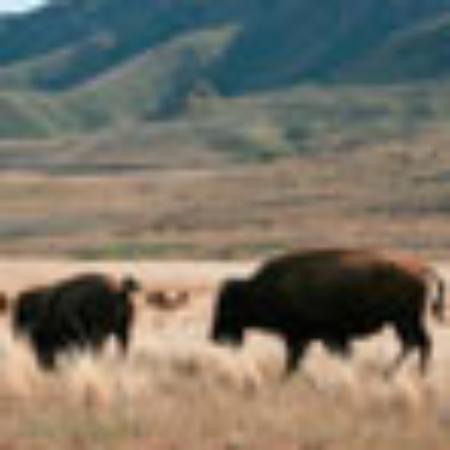 Ristorante Pizzeria Elena