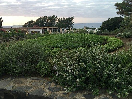 Ristorante Capofaro Malvasia & Resort