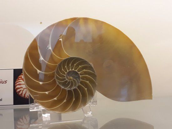 Museo marittimo di Arica