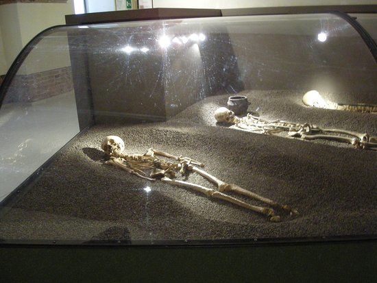 Museo del Centro ambientale archeologico