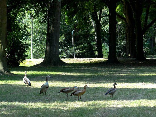Gijsbrecht Aemstelpark