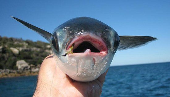 L'Approdo Ristorante Bar