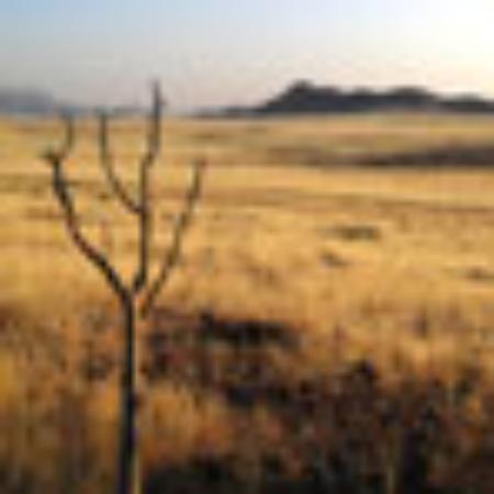 Alpen Chalet Restaurant