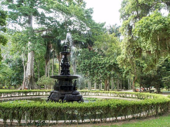 Giardino botanico di Rio de Janeiro