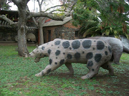 Museo Municipal Dr. Bautista Rebuffo