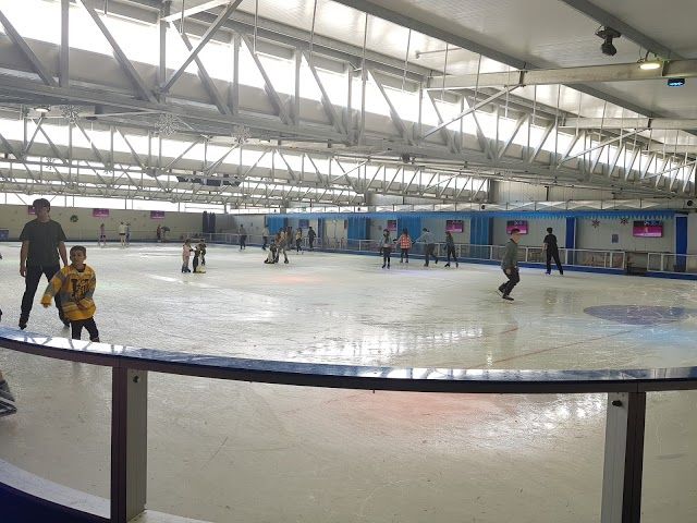 Pista di Pattinaggio su Ghiaccio Ice Zoo Sydney