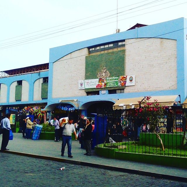Mercato San Camilo