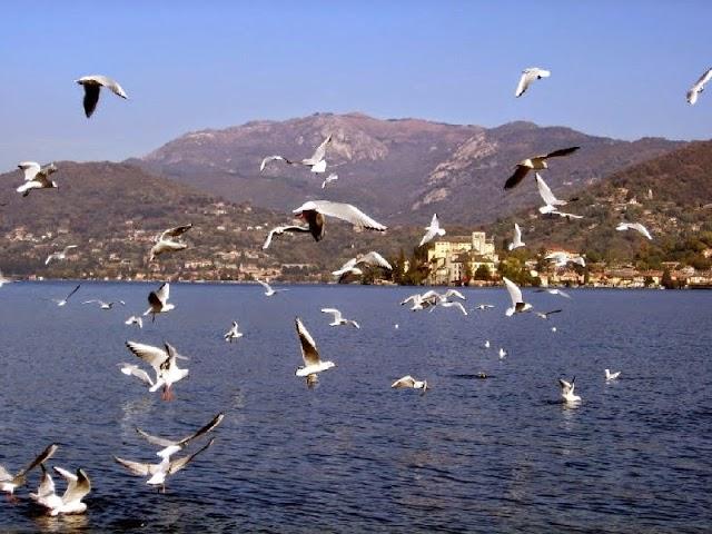 Ristorante Osteria San Martino