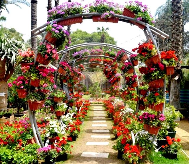 Giardini botanici di Orman