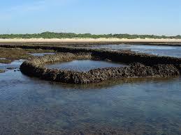 Riserva Naturale Corrales de Rota