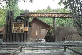 Giardino botanico alpino Rezia