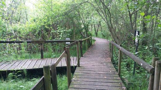 Parco Palude di Onara