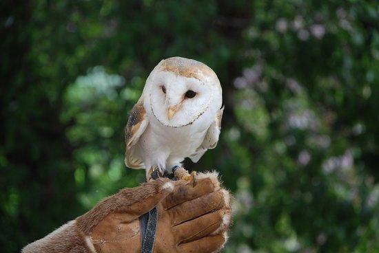 Musée de la Foire et de la Mémoire