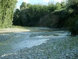 Riserva Naturale Regionale Bosco Don Venanzio