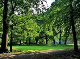 Philips de Jongh park