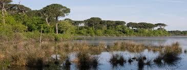 Parco Regionale del Delta del Po