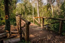 Biotopo di San Daniele