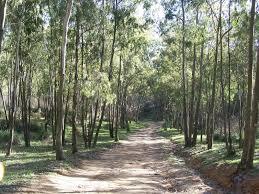 Montagna della Ganzaria