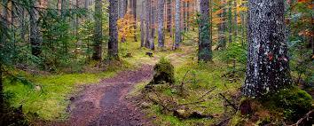 riserva naturale Somadida