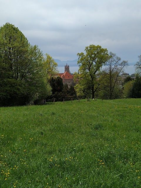 Hermitage Foundation