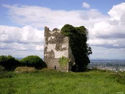 Carthy's Castle Ruins
