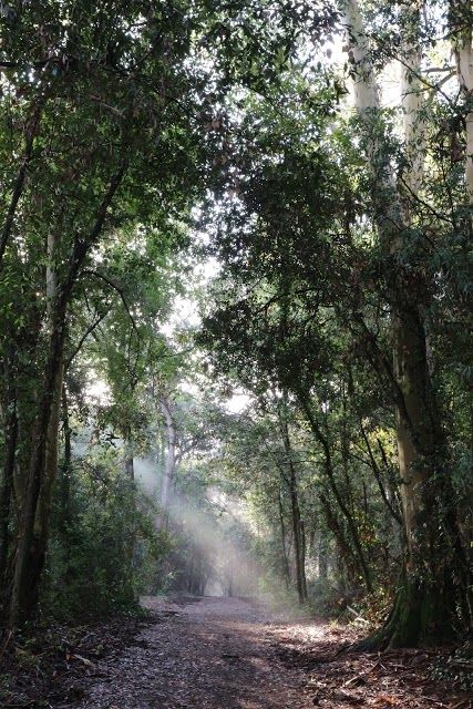 Parco Nazionale del Circeo