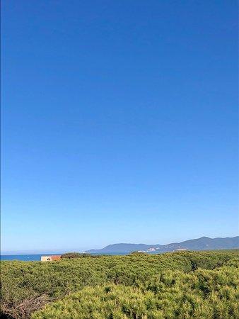 Hotel Rosmarina Restaurant