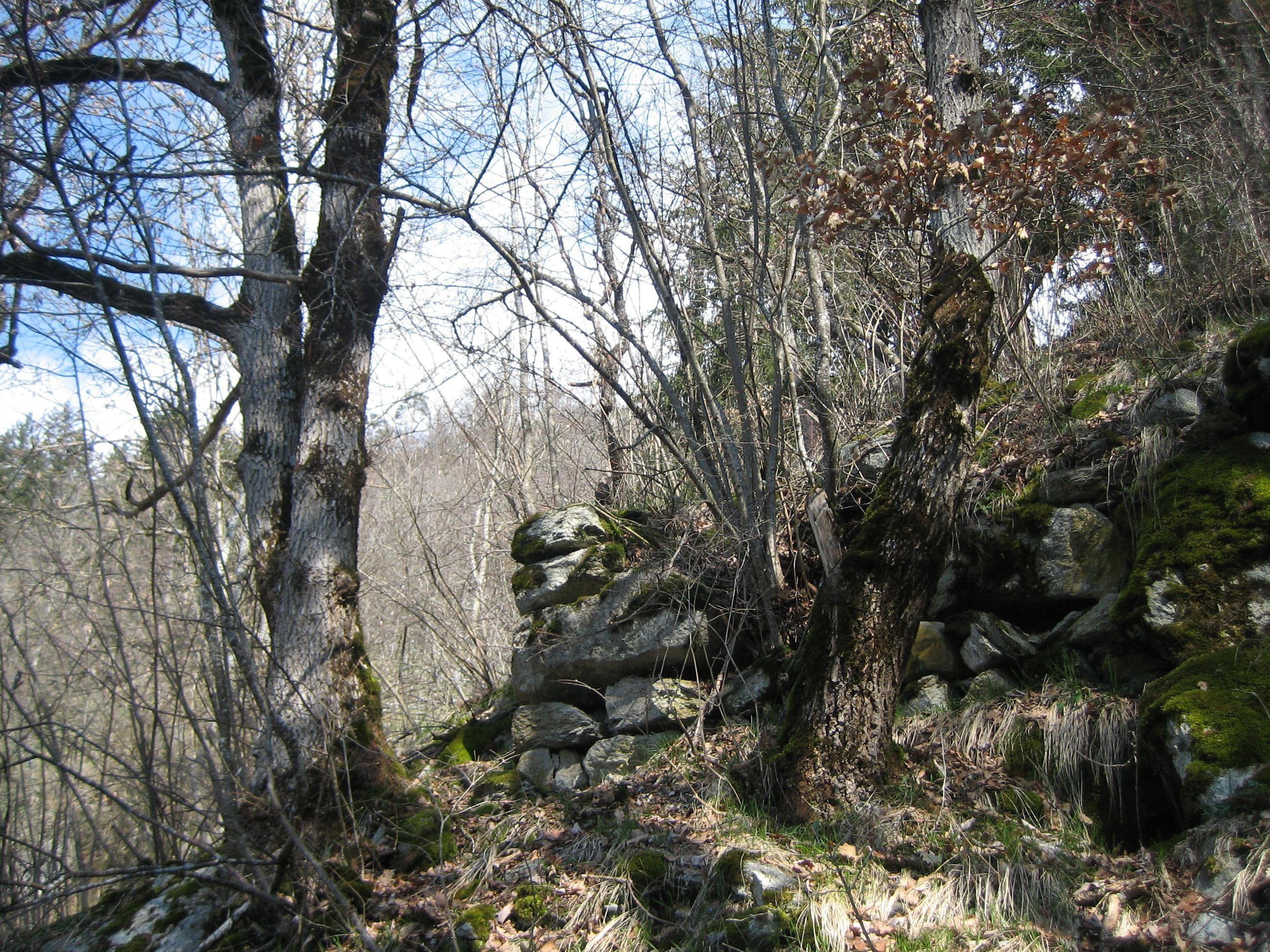 Burgruine Lowenstein