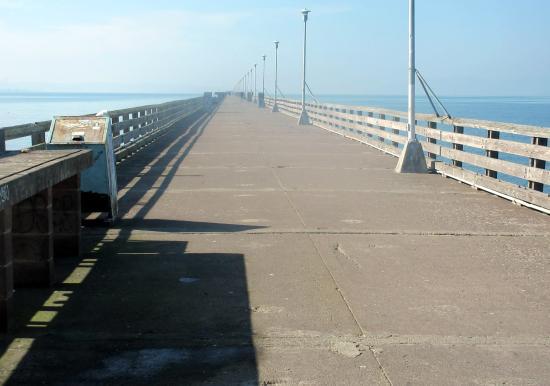 UsMcLaughlin Eastshore State Park