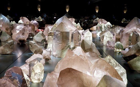 Museo di storia naturale di Berna