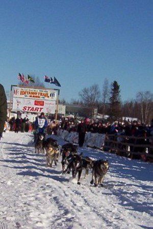 Iditarod